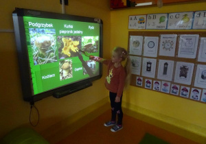 Dziewczynka stoi przy tablicy w prawej uniesionej dłoni trzyma wskaźnik skierowany na kurkę.